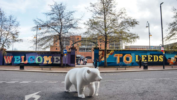 Leeds Hospitals Charity launches new trail with Bear sculptures set to take over Leeds